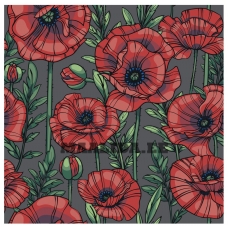 Maalid numbrite järgi AAAA-Q1916