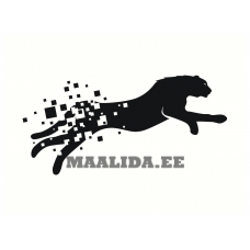 Maalid numbrite järgi AAAA-Q2381