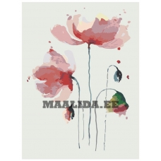 Maalid numbrite järgi AAAA-Q3129