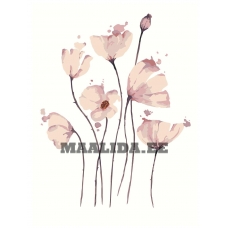 Maalid numbrite järgi AAAA-Q3132