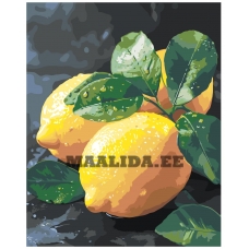 Maalid numbrite järgi AAAA-ST0418