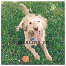 Maalid numbrite järgi AMZN9915528