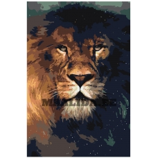 Maalid numbrite järgi ANNA-11080