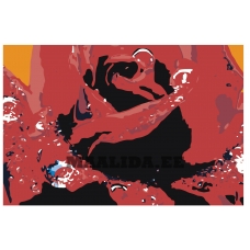 Maalid numbrite järgi ANNA-Roza033