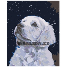 Maalid numbrite järgi ARTH-AH142