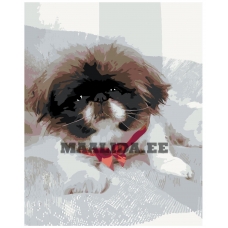 Maalid numbrite järgi ARTH-AH2721