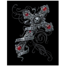 Maalid numbrite järgi AS03