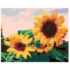 Maalid numbrite järgi CH01