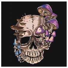 Maalid numbrite järgi CP10