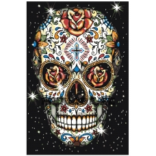 Maalid numbrite järgi CP22