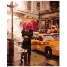 Maalid numbrite järgi DA08