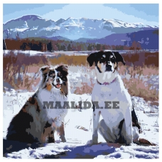 Maalid numbrite järgi ETS106