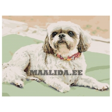 Maalid numbrite järgi ETS123-1