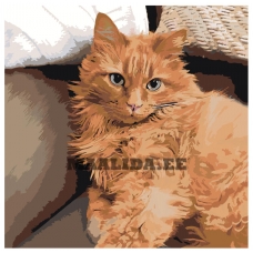 Maalid numbrite järgi ETS148