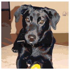 Maalid numbrite järgi ETS213-4040