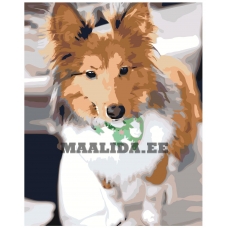 Maalid numbrite järgi ETS219-2-4050