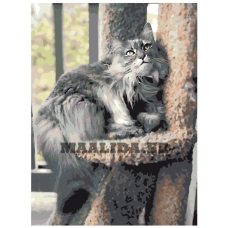 Maalid numbrite järgi ETS235-2