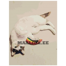 Maalid numbrite järgi ETS246-3040