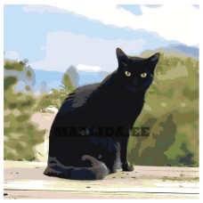 Maalid numbrite järgi ETS294