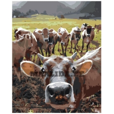 Maalid numbrite järgi EVEE-art-0322