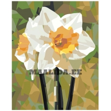 Maalid numbrite järgi EVEE-art-0540