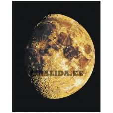 Maalid numbrite järgi EVEE-art-0596