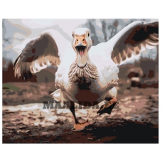 Maalid numbrite järgi EVEE-goose-0001