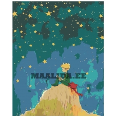 Maalid numbrite järgi EVEE-littleprince-0004
