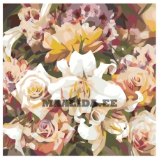 Maalid numbrite järgi F14