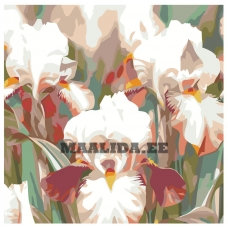 Maalid numbrite järgi F15