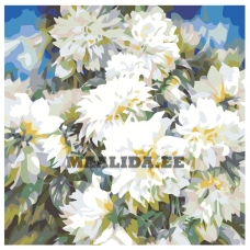 Maalid numbrite järgi F17