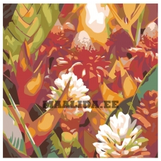 Maalid numbrite järgi F18