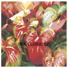 Maalid numbrite järgi F20