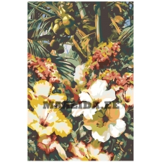 Maalid numbrite järgi F21