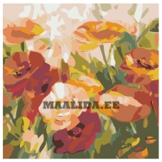 Maalid numbrite järgi F22