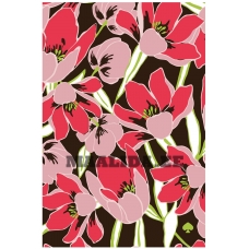 Maalid numbrite järgi F39