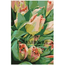 Maalid numbrite järgi F41