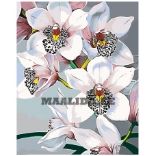 Maalid numbrite järgi F45