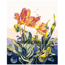 Maalid numbrite järgi F46