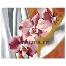 Maalid numbrite järgi F47