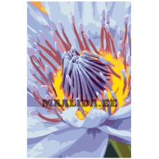 Maalid numbrite järgi F49