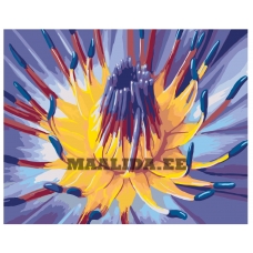 Maalid numbrite järgi F50