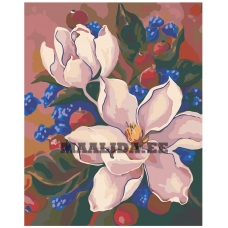 Maalid numbrite järgi F51