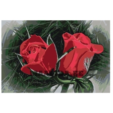 Maalid numbrite järgi F56