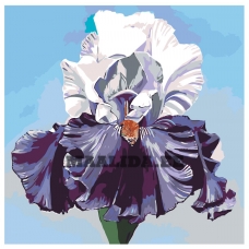 Maalid numbrite järgi F57