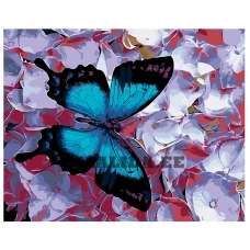 Maalid numbrite järgi F58