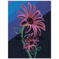 Maalid numbrite järgi F63