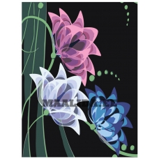 Maalid numbrite järgi F64