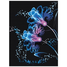 Maalid numbrite järgi F65