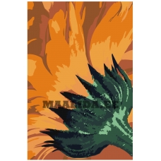 Maalid numbrite järgi F68